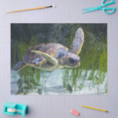 美しいウミガメ泳ぎ 薄葉紙 (クラフト)