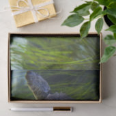 美しいウミガメ泳ぎ 薄葉紙 (ギフト)