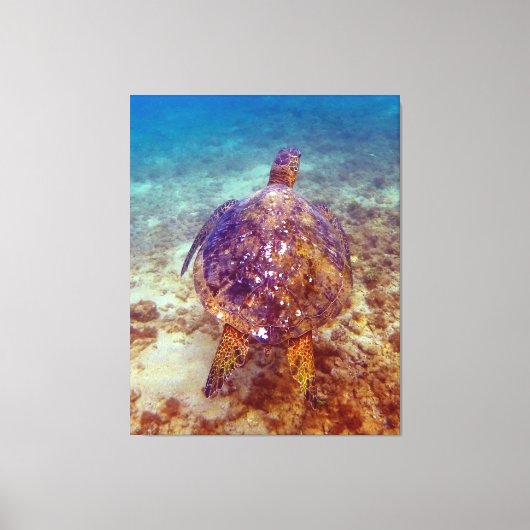 美しいウミガメ キャンバスプリント (正面)