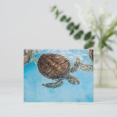 美しいウミガメ ポストカード (スタンド正面)