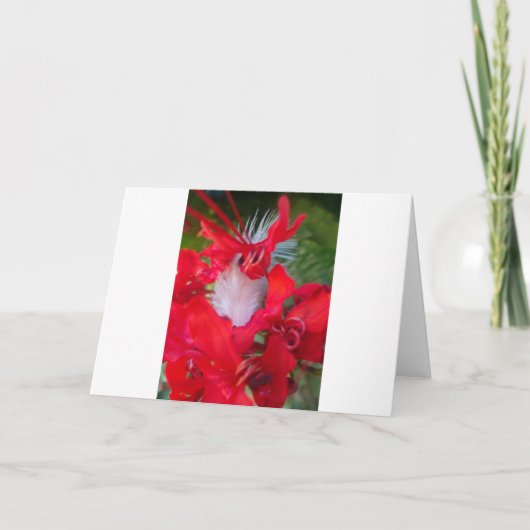 美しいエイリアンクリムゾン.jpg カード (正面)