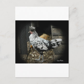 美しいエキゾチックなデザイン ポストカード