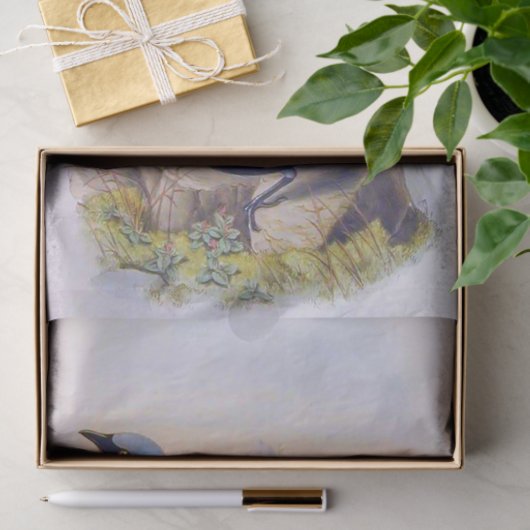 美しいエキゾチックなブルーバードヴィンテージイラストレーション 薄葉紙 (ギフト)