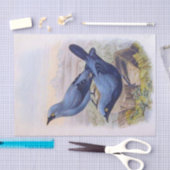 美しいエキゾチックなブルーバードヴィンテージイラストレーション 薄葉紙 (クラフト)