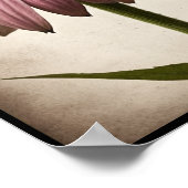 美しいエキナセア花のポスター壁アート ポスター (角)