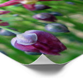 美しいエピメディアの花と芽の春写真 ポスター (角)