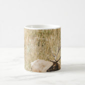 美しいエルク鹿 コーヒーマグカップ (中央)