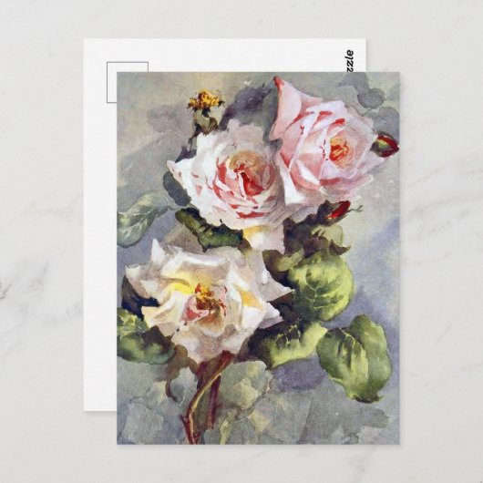 美しいエレガントなピンクのバラの水彩画 ポストカード (正面/裏面)