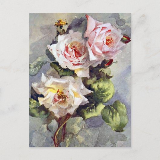 美しいエレガントなピンクのバラの水彩画 ポストカード (正面)