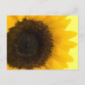 美しいエレガントひまわり結婚式招待状 インビテーションポストカード (裏面)
