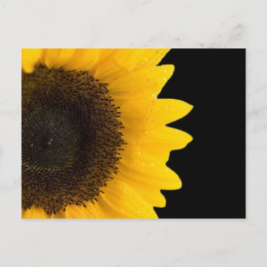 美しいエレガントひまわり結婚式招待状 インビテーションポストカード (裏面)