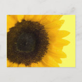 美しいエレガントひまわり結婚式招待状 案内ポストカード (裏面)