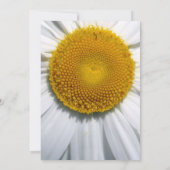 美しいエレガントデイジー結婚式招待状 招待状 (裏面)