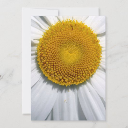 美しいエレガントデイジー結婚式招待状 招待状 (裏面)