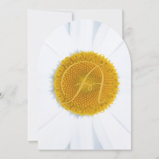 美しいエレガントデイジー結婚式招待状 招待状 (裏面)