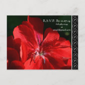 美しいエレガント赤い花結婚式招待状 インビテーションポストカード (裏面)