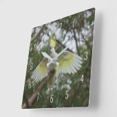 美しいオウム鳥の羽を広げる スクエア壁時計 (傾斜)
