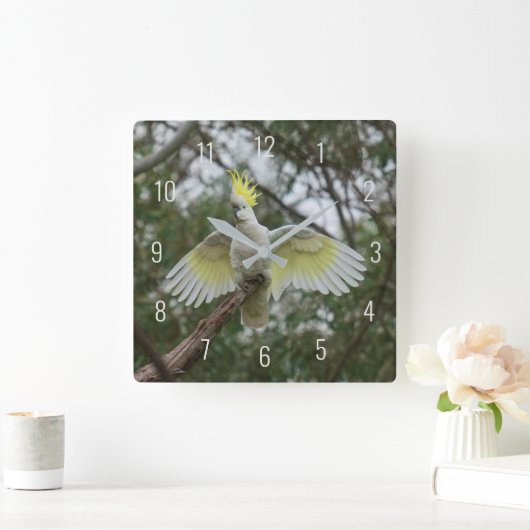 美しいオウム鳥の羽を広げる スクエア壁時計 (ホーム)