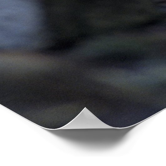 美しいオオカミ ポスター (角)