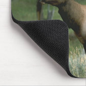 美しいオオシカ マウスパッド (コーナー)