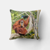 美しいオランウータンの写真 クッション (裏面)
