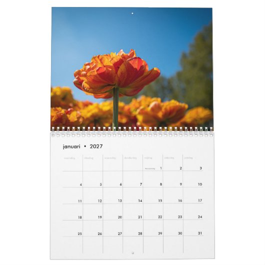 美しいオランダチューリップ カレンダー (1月 2027)