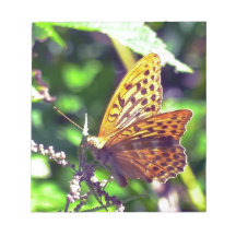 美しいオレンジと黒の斑点のある蝶