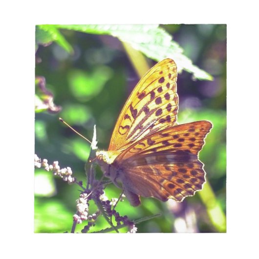 美しいオレンジと黒の斑点のある蝶 ノートパッド (正面)