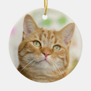 美しいオレンジのタビー猫が閉店 セラミックオーナメント