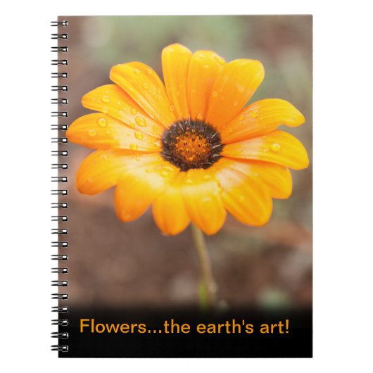 美しいオレンジのデイジーフラワーザアースアート ノートブック (正面)