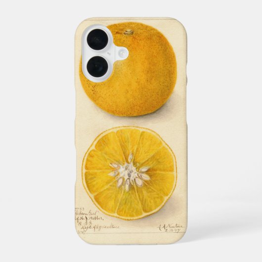 美しいオレンジの芸術作品 iPhone 16ケース (裏面)