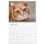 美しいオレンジの虎猫2022カレンダー カレンダー (3月 2027)