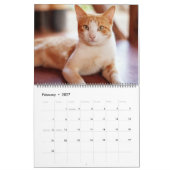 美しいオレンジの虎猫2022カレンダー カレンダー (2月 2027)