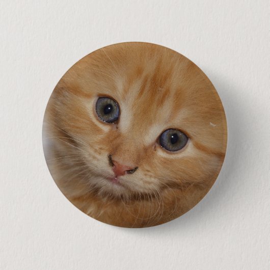 美しいオレンジタビーの子猫 缶バッジ (正面)