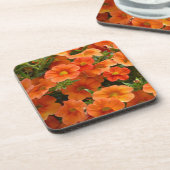 美しいオレンジペチュニアの花 コースター (左側)