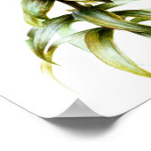 美しいオレンジリリー鉛筆と水彩アート ポスター (角)