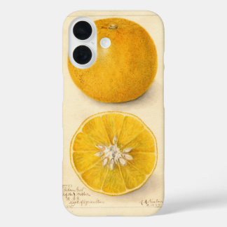 美しいオレンジ色のアートワーク iPhone 16ケース