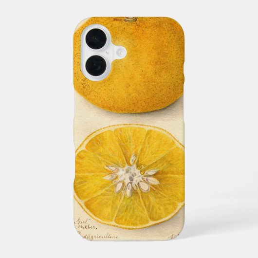 美しいオレンジ色のアートワーク iPhone 16ケース (裏面)
