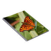 美しいオレンジ色のサティエのコンマ蝶 ノートブック (右側)