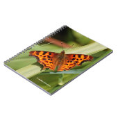 美しいオレンジ色のサティエのコンマ蝶 ノートブック (左側)