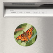 美しいオレンジ色のサティエのコンマ蝶 マグネット (インサイチュ (食洗機))