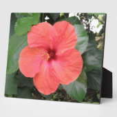美しいオレンジ色のハイビスカスフラワープラーク フォトプラーク (側面)