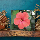 美しいオレンジ色のハイビスカスフラワープラーク フォトプラーク (側面)