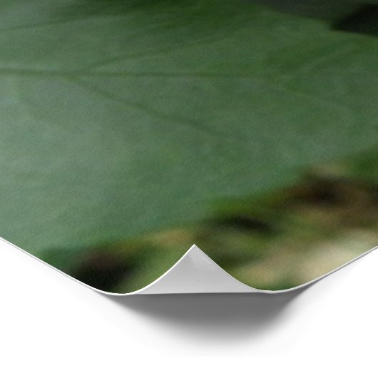 美しいオレンジ色のハイビスカスフラワーポスター ポスター (角)