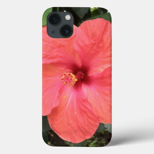 美しいオレンジ色のハイビスカスフラワーiPadケース Case-Mate iPhoneケース (裏面)
