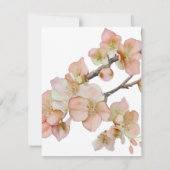 美しいオレンジ色のピンクのフローラは日付結婚を保存 セーブザデート (裏面)