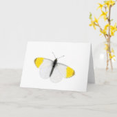美しいオレンジ色の先端の蝶 カード (黄色い花)