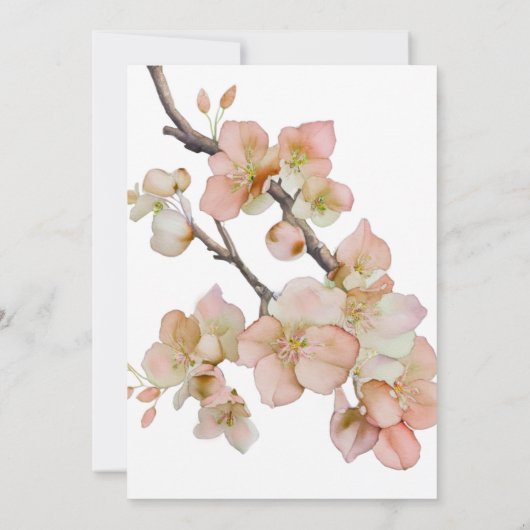 美しいオレンジ色の水色フローラブライダルシャワー 招待状 (裏面)