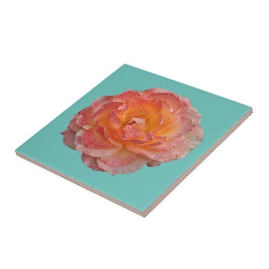 美しいオレンジ色の牡丹 タイル (側面)