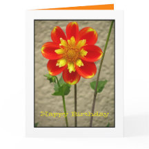 美しいオレンジ黄色の花